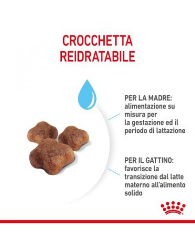 Royal Canin Mother and Baby cat kg 2. Cibo Per Gattini