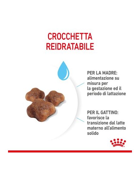 Royal Canin Mother and Baby cat kg 2. Cibo Per Gattini