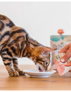 SCHESIR in Cream kitten care 0-6 Pollo gr.150. Cibo Per Gattini