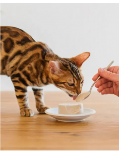 Schesir kitten mousse 3-12 Pollo gr.85. Cibo Umido Per Gattini 2