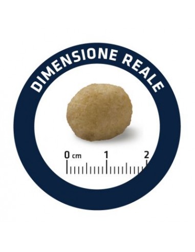 Advance Diet Dog  Hypoallergenic kg 2,5. Diete Per Cani