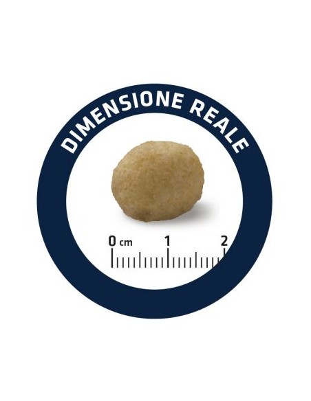 Advance Diet Dog  Hypoallergenic kg 2,5. Diete Per Cani