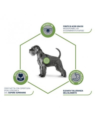 Advance Diet Dog  Hypoallergenic kg 2,5. Diete Per Cani