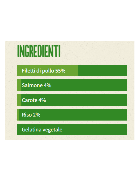 Life Cat Busta Filetti di Pollo con Salmone Gr.70. Cibo Umido Per Gatti