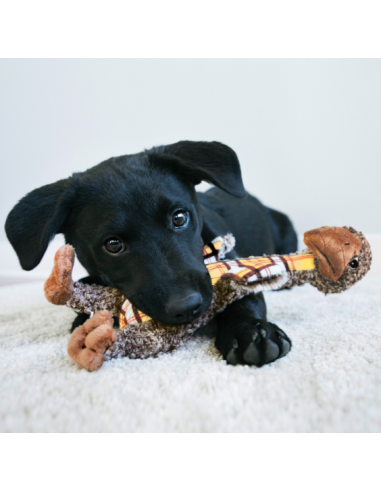 Kong Shakers Giraffa Luvs Large . Giochi Per Cani