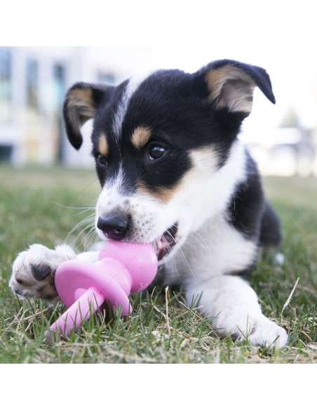 Kong Binkie Puppy Medium. Giochi Per Cani