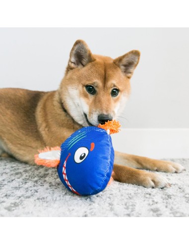 Konf Reefz small. Giochi Per Cani .