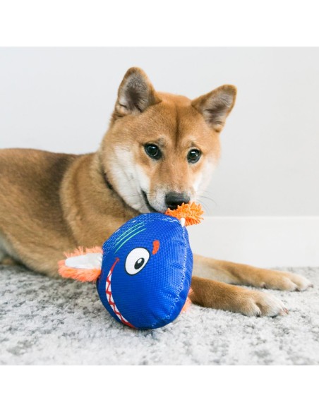Konf Reefz small. Giochi Per Cani .