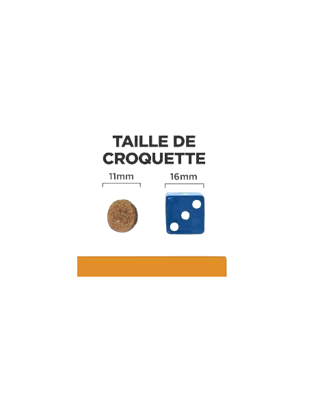Hill's Canine K/d kg 4. Diete Per cani.