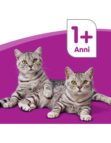 Whiskas Multipack pure delight  Selezione Assortita in Gelatina 12 pz. Cibo Umido Per Gatti