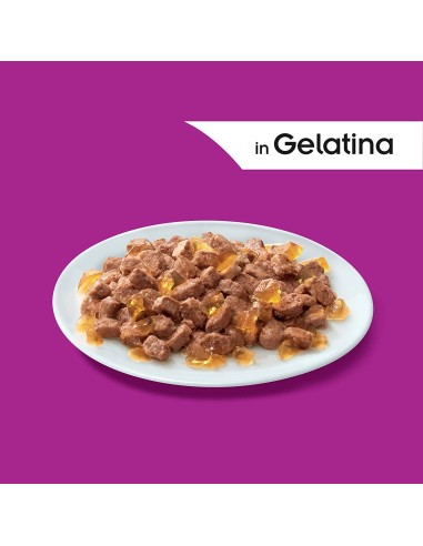 Whiskas Multipack pure delight  Selezione Assortita in Gelatina 12 pz. Cibo Umido Per Gatti