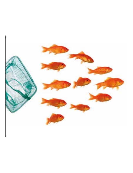 Retino Economico In Plastica cm 15x12   . Accessorio Per Acquari