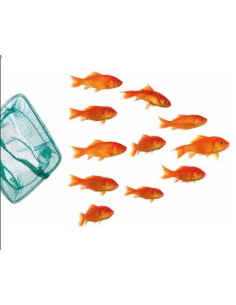 Retino Economico In Plastica . Accessorio Per Acquari CM 7,5X6 2