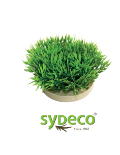 Pianta Sydeco Prato cm 6. Mantovani. Decorazioni Per Acquari