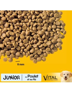 Pedigree Dry Junior Pollo e Riso Kg.3. Mangime Per Cuccioli 2
