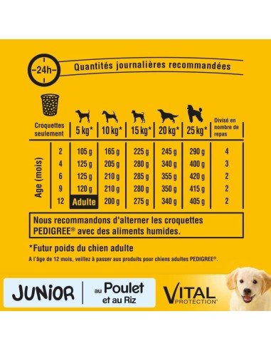Pedigree Dry Junior Pollo e Riso Kg.3. Mangime Per Cuccioli
