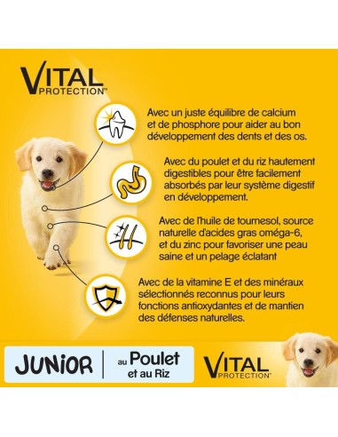 Pedigree Dry Junior Pollo e Riso Kg.3. Mangime Per Cuccioli
