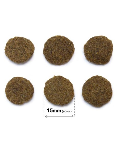 Arquivet Dog Senior & Light Kg 12 . Mangime Secco  Per Cani