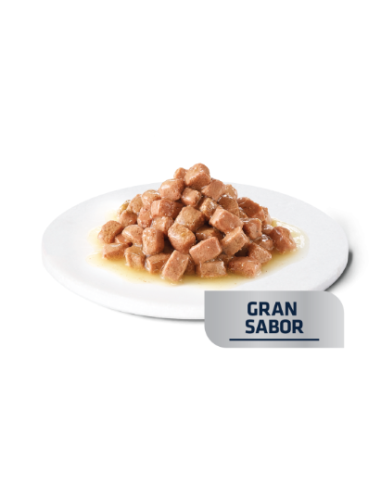 Advance dog/cat diet busta Recovery gr.100. Diete Per Cani e Gatti