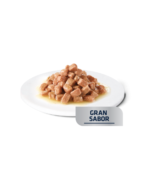 Advance dog/cat diet busta Recovery gr.100. Diete Per Cani e Gatti