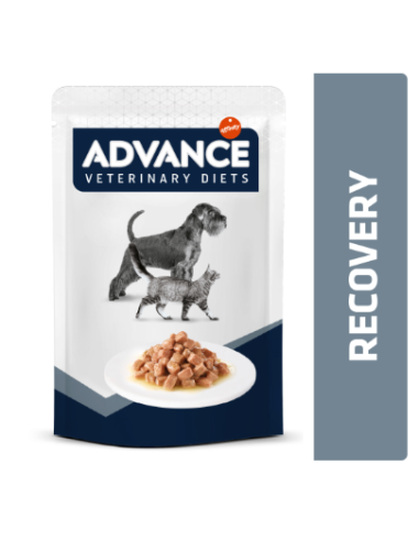 Advance dog/cat diet busta Recovery gr.100. Diete Per Cani e Gatti