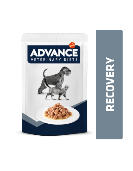 Advance dog/cat diet busta Recovery gr.100. Diete Per Cani e Gatti