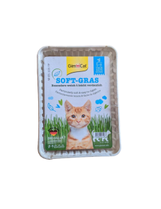 Gimcat Erba Gatto Extra Soffice gr 100