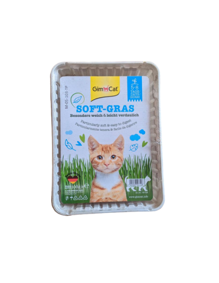 Gimcat Erba Gatto Extra Soffice gr 100