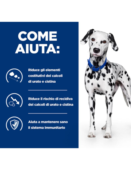 Hill's Canine u/d kg 4. Diete Per Cani