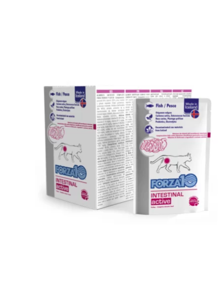 FORZA 10 Gatto Intestinal Active Pesce Gr.100. Diete Per Gatti