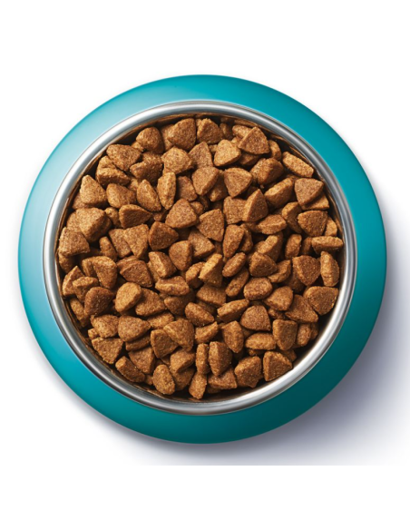 Purina One Cat Adult Coat and Hairball gr 800. Cibo Secco Per Gatti