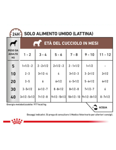 Gastrointestinal Dog Puppy gr 195. Diete -Puppy