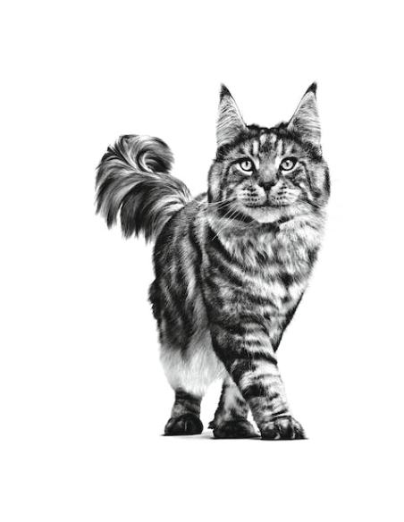 Renal Cat gr 400. Diete Per Gatti