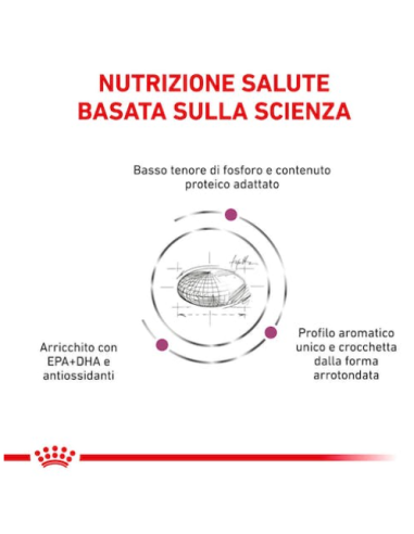 Renal Cat kg 4. Diete Cibo Secco  Per gatti
