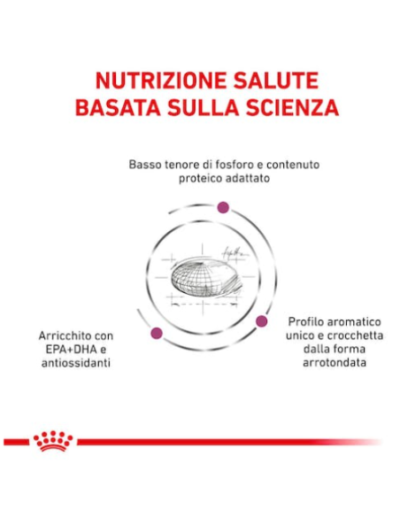 Renal Cat kg 4. Diete Cibo Secco  Per gatti