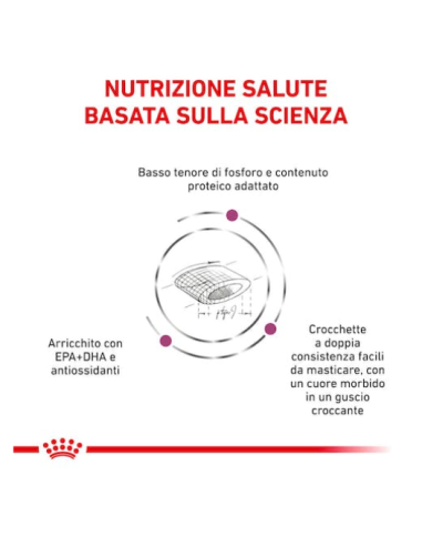 Renal Select Cat kg 2 Diete Secco Per Gatti