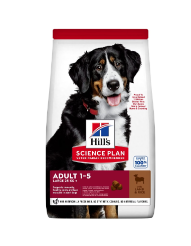 Hill's Canine Mantenimento Large Breed Lamb & Rice kg 12. Alimento Per Cani