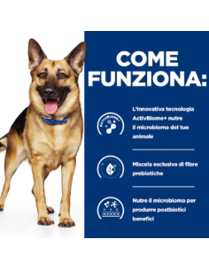 Hill's Gastrointestinal Biome gr 354. Diete Per cani 2