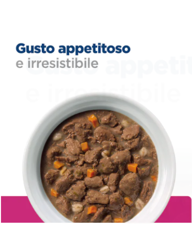 Hill's Gastrointestinal Biome gr 354. Diete Per cani