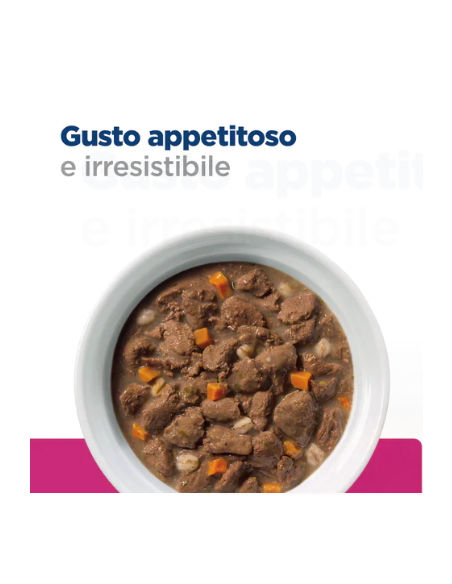 Hill's Gastrointestinal Biome gr 354. Diete Per cani