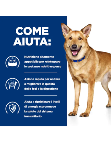 Hill's Canine i/D gr 360 Tacchino. Diete Umido Per Cani