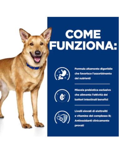 Hill's Canine i/D gr 360 Tacchino. Diete Umido Per Cani