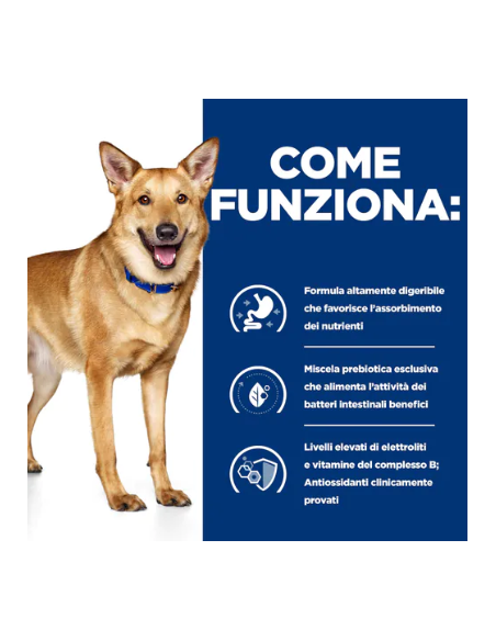 Hill's Canine i/D gr 360 Tacchino. Diete Umido Per Cani