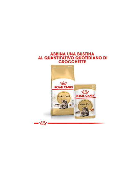 Maine Coon kg 2. Royal Canin. Cibo Secco Per Cani