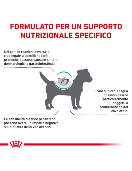 Anallergenic  Small Dog KG.3- diete Secco Per Cani