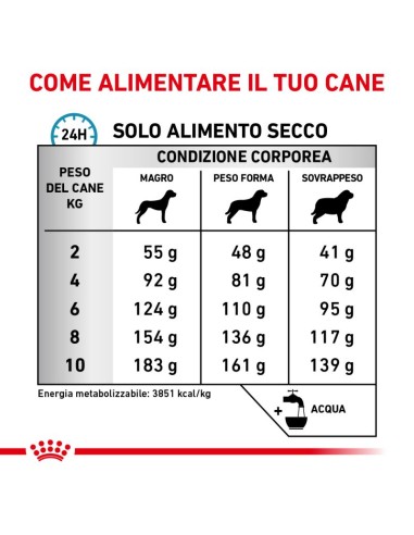 Anallergenic  Small Dog KG.3- diete Secco Per Cani