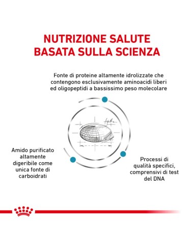 Anallergenic  Small Dog KG.3- diete Secco Per Cani