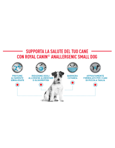 Anallergenic  Small Dog KG.3- diete Secco Per Cani 2