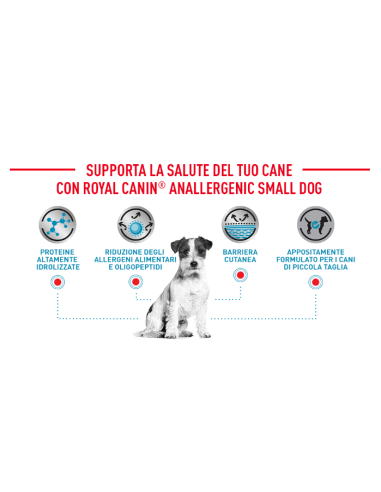 Anallergenic  Small Dog KG.3- diete Secco Per Cani