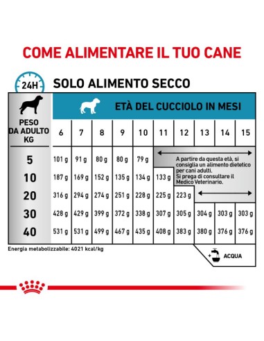 Hypoallergenic Puppy Kg.3,5 Royal Canin. Diete Secco Per Cani